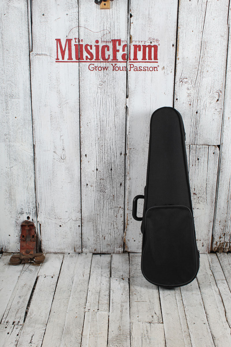 Non Branded 3/4 Size Violin with Case