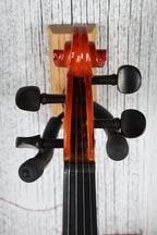 Non Branded 3/4 Size Violin with Case