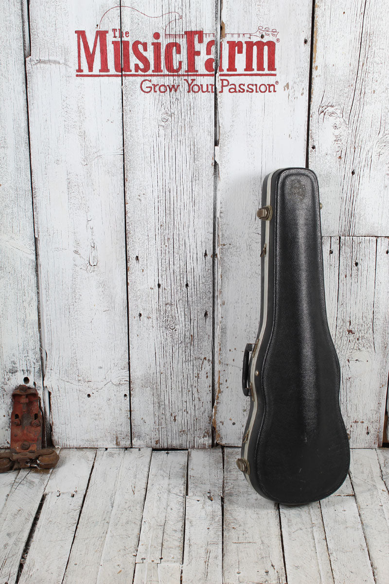 Roderich Paesold Violin Model No 801 with Hardshell Case