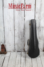 Roderich Paesold Violin Model No 801 with Hardshell Case