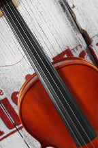 Roderich Paesold Violin Model No 801 with Hardshell Case