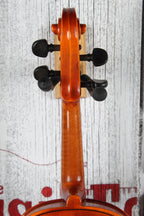 Roderich Paesold Violin Model No 801 with Hardshell Case