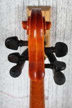 Roderich Paesold Violin Model No 801 with Hardshell Case