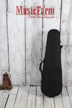 Franz Hoffmann Concert Viola 14 Inch Concert Viola with Case and Bow