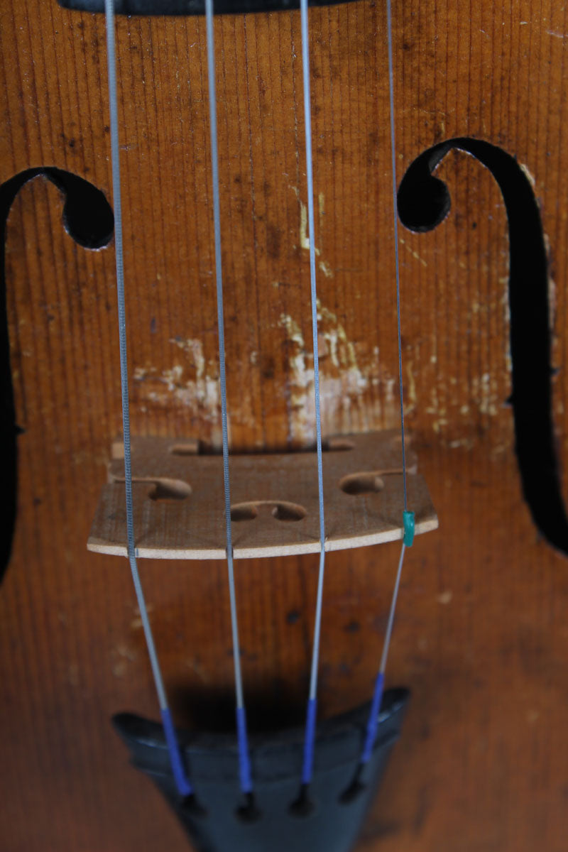 Non Branded Violin 3/4 Size Violin with Case