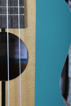 Kala Surf Concert Ukulele KA-SURF-WIPEOUT Concert Uke Wipeout Finish