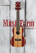 Load image into Gallery viewer, Kala Surf Concert Ukulele KA-SURF-SURFSUP Concert Uke Surf's Up Finish