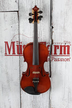 Lidl Model 24 Violin 4/4 Violin with Hardshell Case