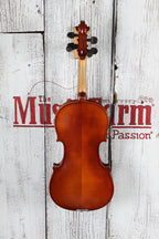 Lidl Model 24 Violin 4/4 Violin with Hardshell Case