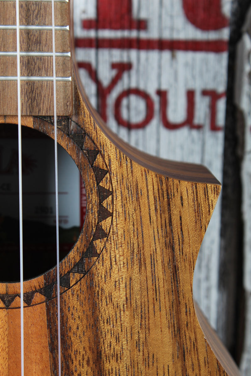 Kala Teak Tri-Top Concert Acoustic Electric Ukulele KA-TK-C-CE Natural Finish