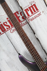 Ibanez SR505E 5 String Electric Bass Guitar Black Aurora Burst Finish