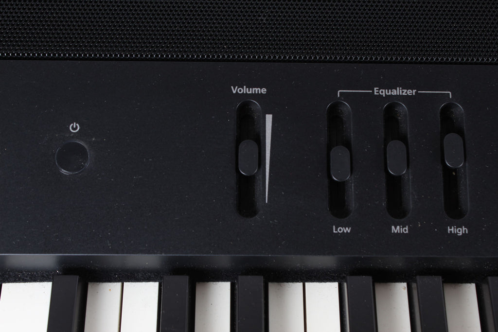 Roland FP-90X Digital Piano 88 Key Portable Digital Piano Black with Stand