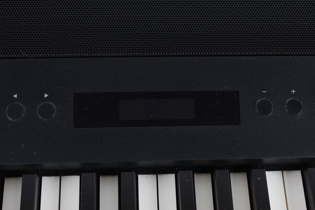 Roland FP-90X Digital Piano 88 Key Portable Digital Piano Black with Stand