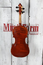 Load image into Gallery viewer, Non Branded Full Size 4/4 Viola with Lite Leer Case