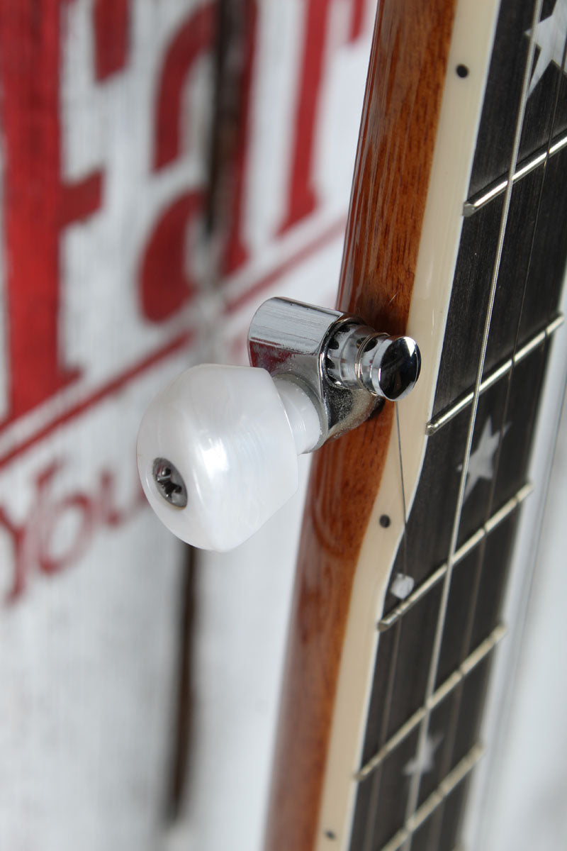 Ibanez Limited Edition BA250 USA 250th Anniversary 5 String Resonator Banjo
