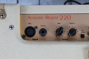 Epiphone Stereo Chorus Acoustic Regent 220 Acoustic Guitar Combo Amplifier