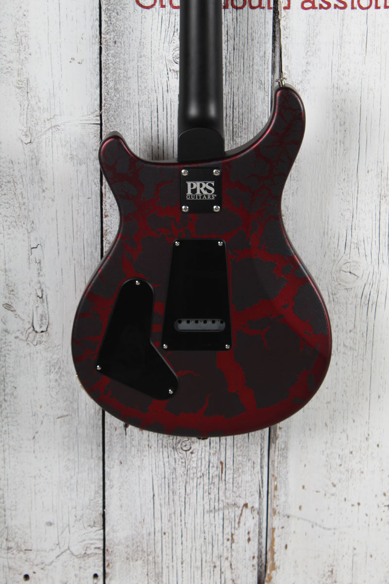 PRS S2 Swamp Ash Special Electric Guitar Sprayer's Choice with Gig Bag