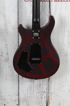 PRS S2 Swamp Ash Special Electric Guitar Sprayer's Choice with Gig Bag