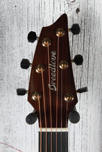 Load image into Gallery viewer, Breedlove Premier Concert Thinline CE LTD Acoustic Electric Guitar with Case