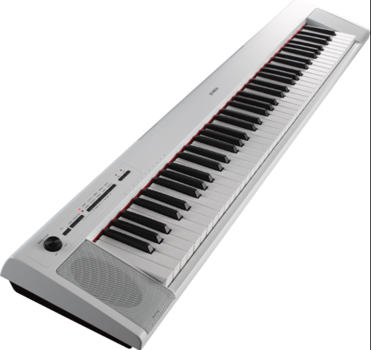 Yamaha NP-32 76 Key Digital Piano Graded Soft Touch Keyboard with Power Supply