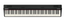 Roland GO:PIANO88 PX 88 Key Digital Piano with Full Size Keys GO-88PX