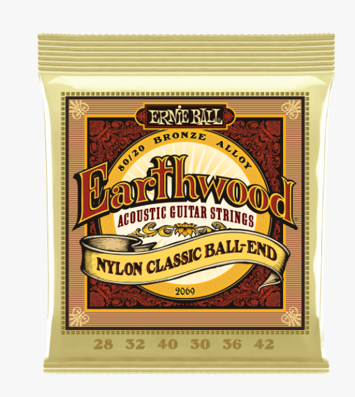 Ernie Ball EB2069 Earthwood 80/20 Bronze Acoustic Guitar Strings