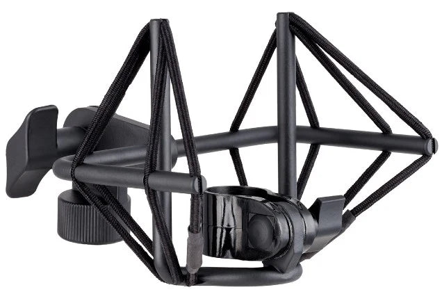sE Electronics Voodoo VR2 Active Ribbon Microphone Vocal and Instrument Mic