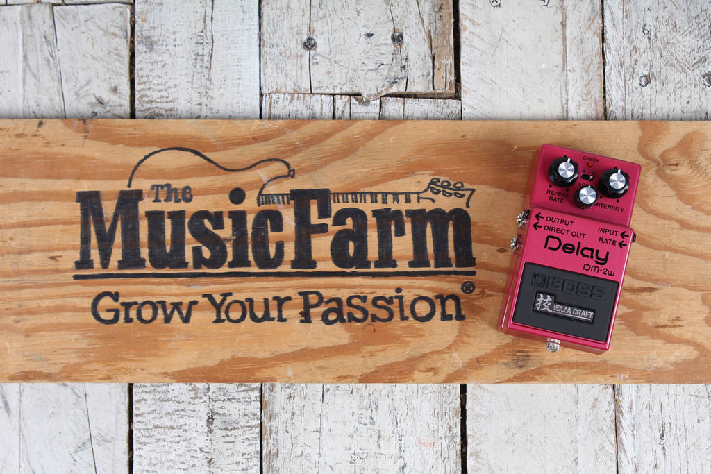 Boss DM-2W Waza Craft Delay Pedal Reissue Electric Guitar Delay Effects Pedal