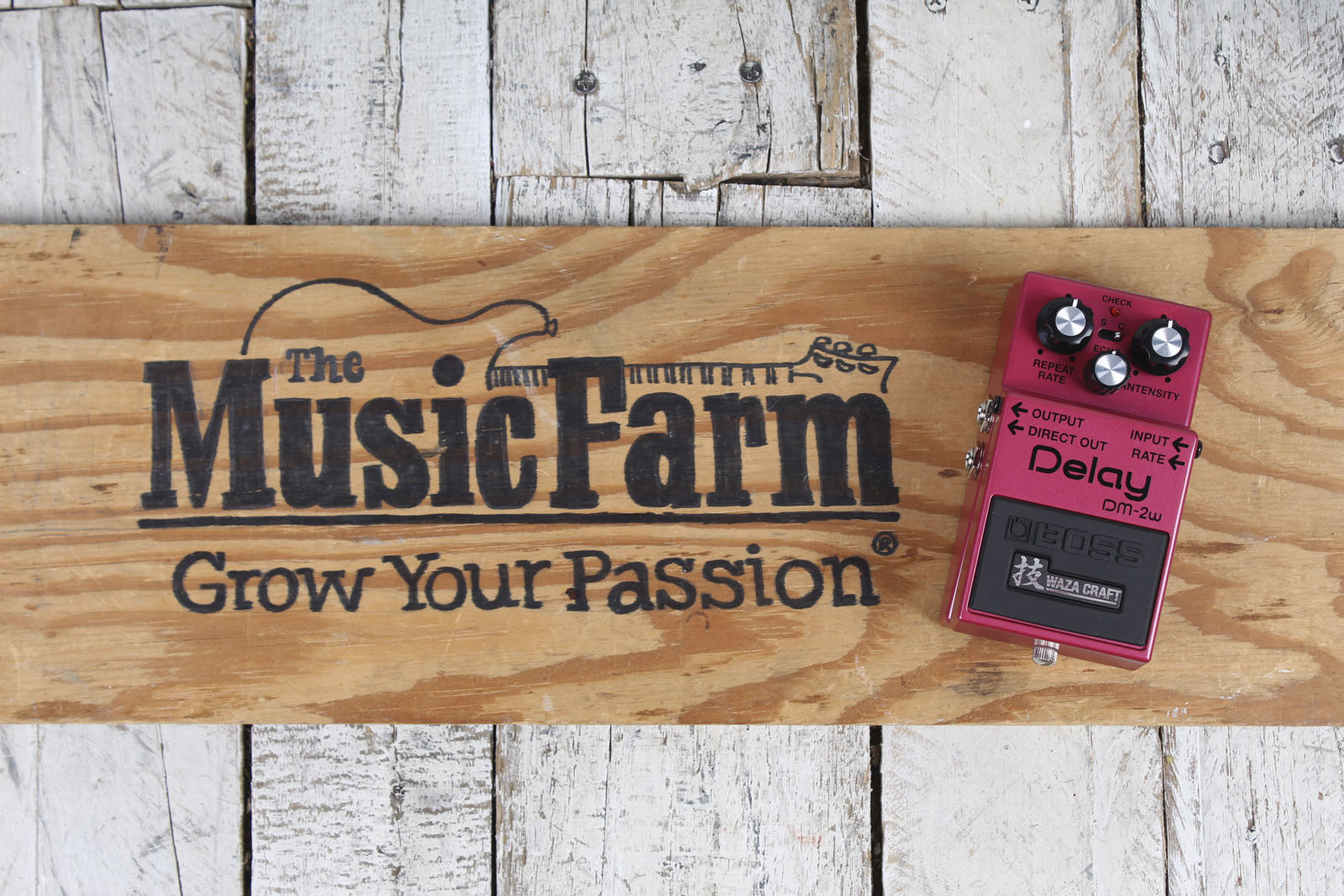 Boss DM-2W Waza Craft Delay Pedal Reissue Electric Guitar Delay Effects Pedal