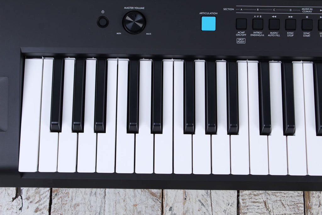 Yamaha PSR-E425 76 Key Portable Keyboard with 820 Voices and Pitch Bend with Power Supply