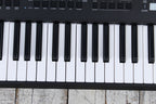 Yamaha PSR-E425 76 Key Portable Keyboard with 820 Voices and Pitch Bend with Power Supply