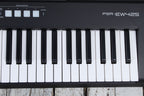 Yamaha PSR-E425 76 Key Portable Keyboard with 820 Voices and Pitch Bend with Power Supply