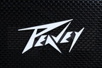 03617650  Peavey MAX® 300 120US Bass Amp