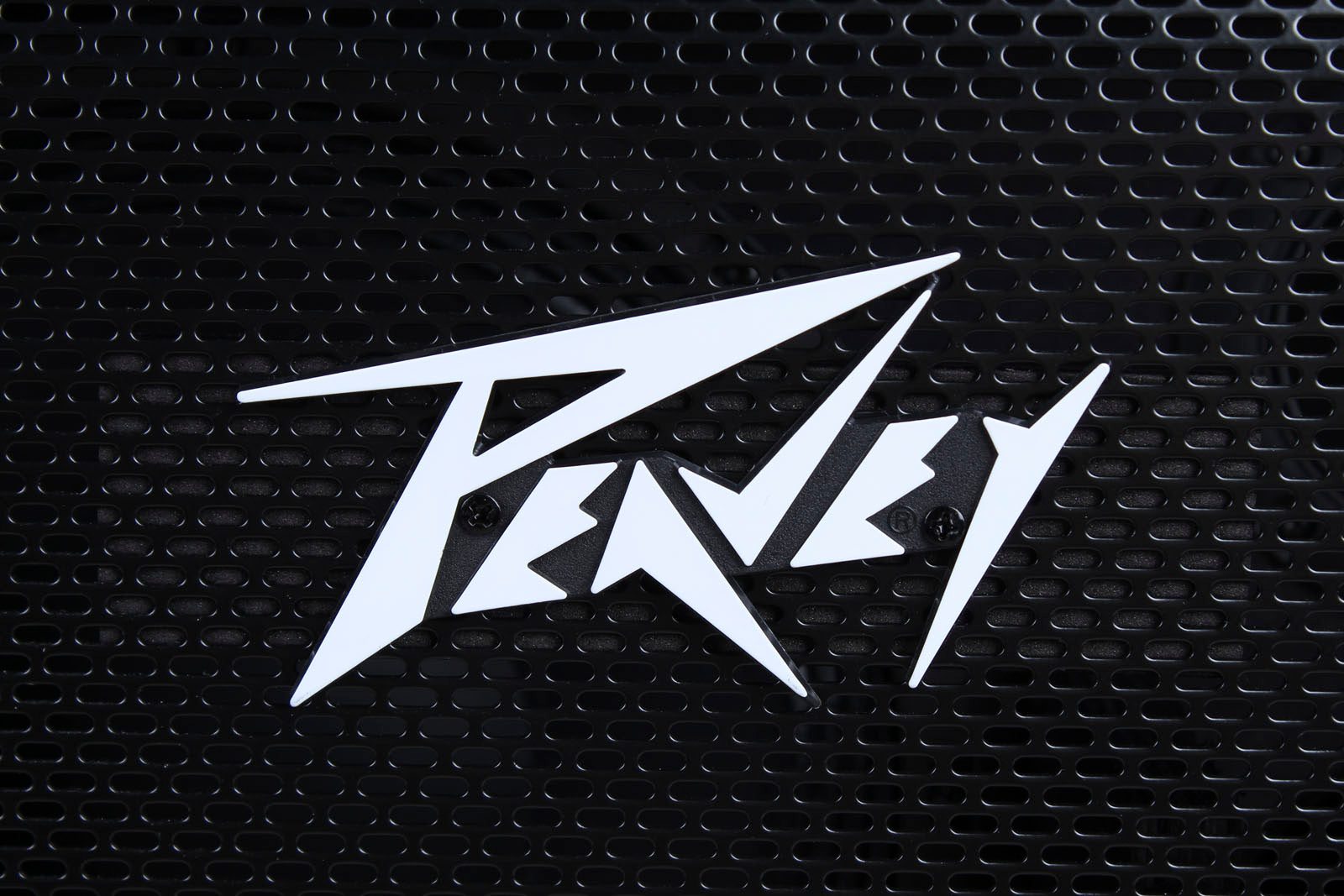 03617650  Peavey MAX® 300 120US Bass Amp