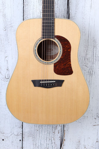 Washburn D100SWE Dreadnought Acoustic Electric Guitar with Hardshell Case