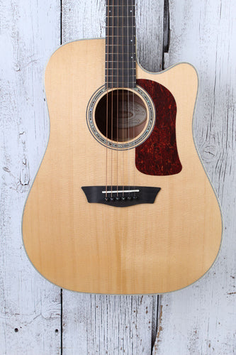 Washburn D100SWCE Dreadnought Acoustic Electric Guitar with Hardshell Case