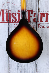 Washburn M1S Americana A Style Mandolin Solid Spruce Top Tobacco Sunburst Gloss