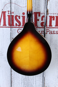 Washburn M1S Americana A Style Mandolin Solid Spruce Top Tobacco Sunburst Gloss