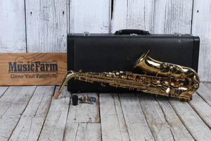 RS Berkeley Alto Saxophone with Hardshell Case
