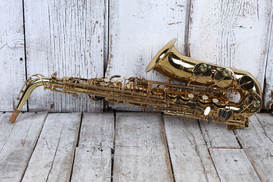 RS Berkeley Alto Saxophone with Hardshell Case