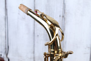 RS Berkeley Alto Saxophone with Hardshell Case