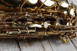 RS Berkeley Alto Saxophone with Hardshell Case