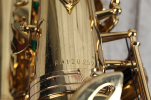RS Berkeley Alto Saxophone with Hardshell Case