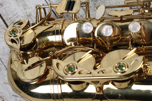 RS Berkeley Alto Saxophone with Hardshell Case