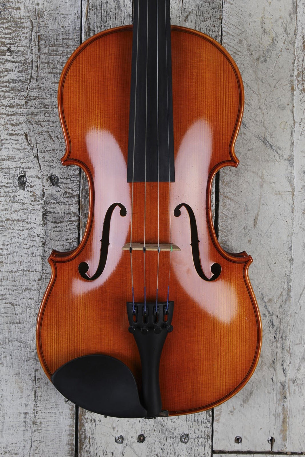 Samuel Eastman VL100 4/4 Violin with Hardshell Case and Bow – The 