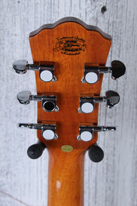 Washburn Apprentice D5CE-PACK Dreadnought Acoustic Electric Guitar Package