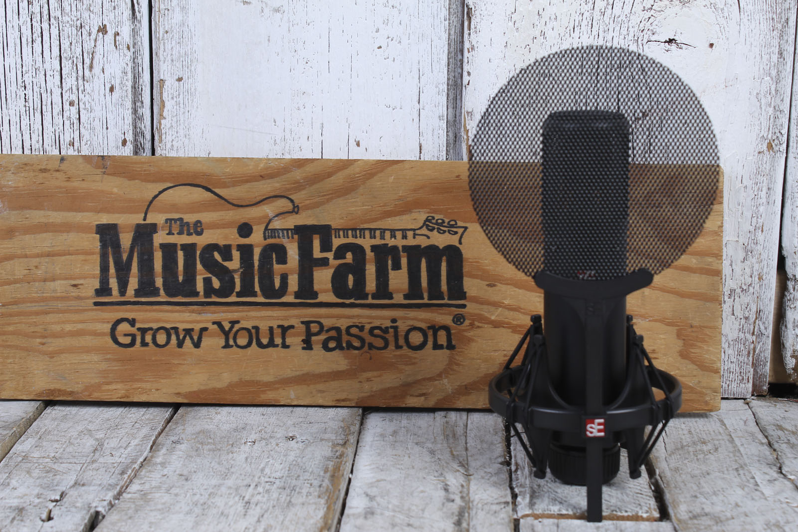 sE Electronics SE2200 Large Diaphragm Condenser Studio Microphone Cardioid Mic Secondary image