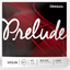 D'ADDARIO PRELUDE VIOLIN STRINGS - 4/4 LIGHT TENSION