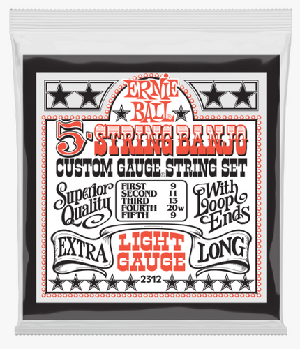 Ernie Ball 5 String Banjo - Light