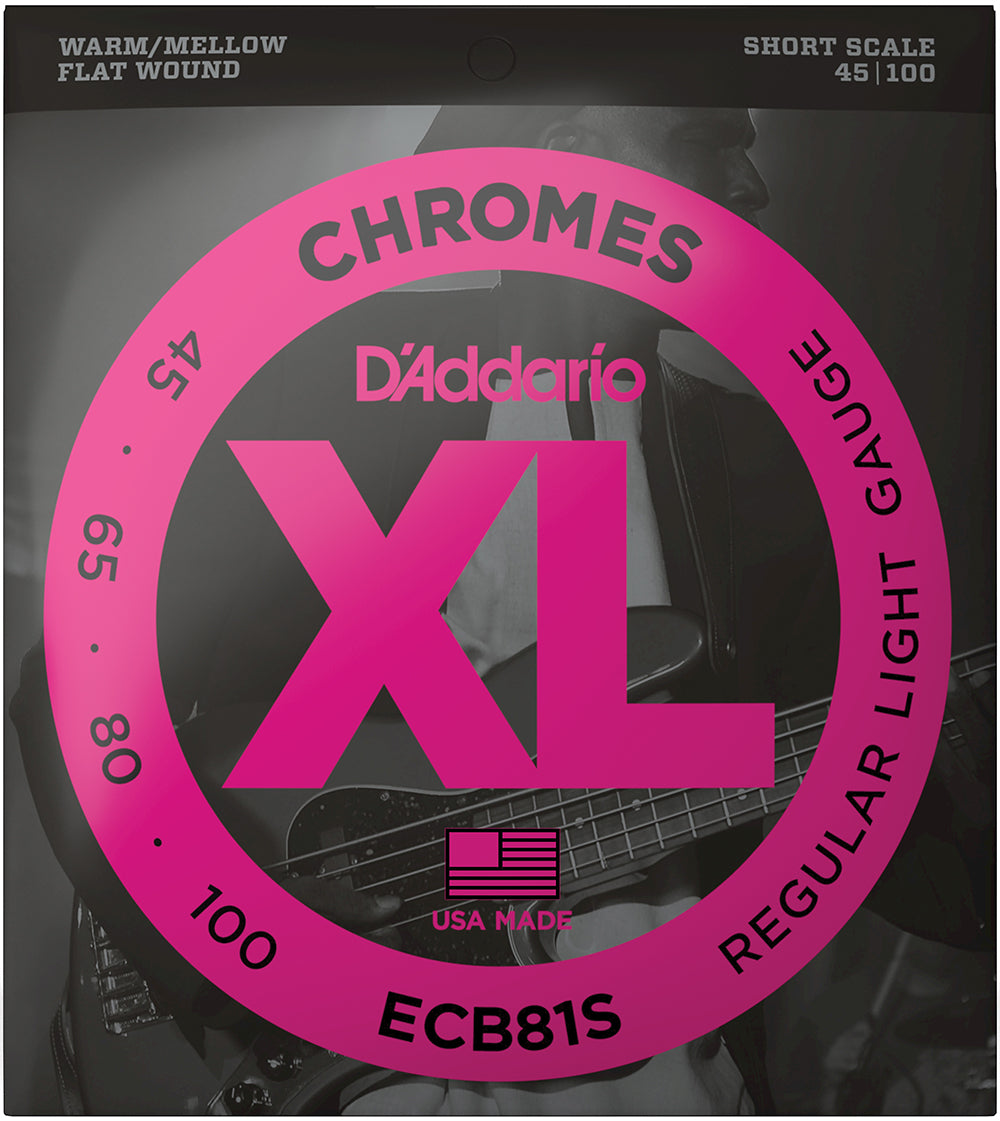 D'Addario ECB81S Short Scale Flatwound Bass Strings 45-100 Main image
